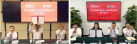 中國寶武，究竟儲備了多少鐵礦？